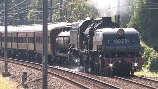 Hunter Valley Steamfest Transfer  150424 [upl. by Leamsi]