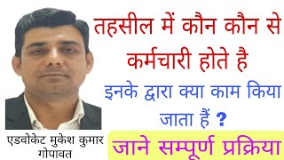 जानें तहसील में काम किस प्रकार होता है। Tahsildar ke kary। law [upl. by Ihab]