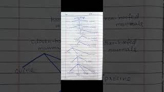 Hyponymic  taxonomic Classification of animals mammals  cow  living things short [upl. by Camila]