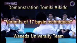 DEMONSTRATION TOMIKI AIKIDO Variants of 17 BASIC tehniques Waseda University Team [upl. by Gentry]