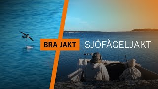 Sjöfågeljakt i Stockholms skärgård  BRA JAKT [upl. by Elodea]