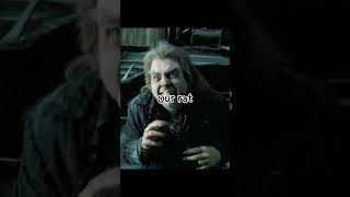 Harry Pottermuggles vs Potterheads [upl. by Rush]