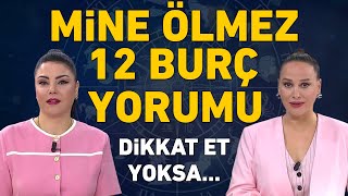 MİNE ÖLMEZDEN 12 BURÇ İÇİN ÇOK ÖNEMLİ UYARI VE TAVSİYELER [upl. by Amre]