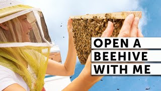 OPEN A BEEHIVE WITH ME  BEEKEEPING 101  Easy Beekeeping [upl. by Ramad930]