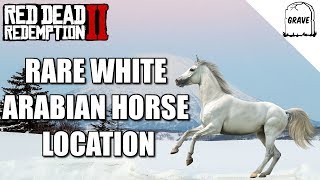 Rare White Arabian Horse Location Red Dead Redemption 2 [upl. by Nirrat]