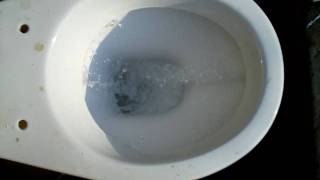 low level cistern on my toilet [upl. by Ttekcirc]