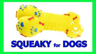 Dog Squeaky Toy  Sounds that attract dogs prankyourdog squeaky [upl. by Yeh]