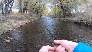 Fly Fishing an urban stream for trout and bass [upl. by Rena]