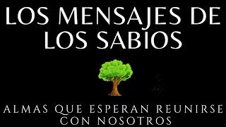 Los mensajes de los sabios Brian weiss Audiolibro completo en español voz humana [upl. by Arais]