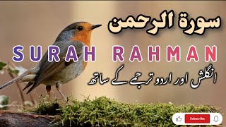 Surah AlRahman سورۃ الرحمن ❤️ Most Beautiful and Calming Recitation  English amp Urdu Translation [upl. by Lehpar]