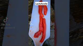 Lachsforelle verarbeitet und verpackt 🐟👌 Lachsforelle Regenbogenforellen lachs fish Fischzucht [upl. by Winona]