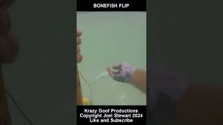 BONEFISH FLIP youtubeshorts [upl. by Nariko]