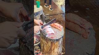 Amazing Hilsa Fish Cutting Skills In Bangladesh Local Fish Market shorts [upl. by Hogan]