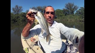 Ação o Tempo Todo  Lagoa de Marapendi  Barra da Tijuca  Pesca com Caiaque  Leogafanha [upl. by Nirat220]