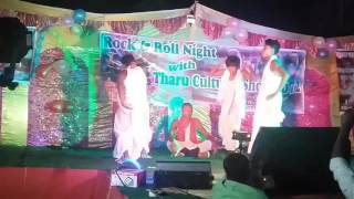 Banke Bardiya songs dance Tharu Cultural Show Ina [upl. by Heriberto]