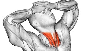 The 15 Most Effective Exercises for Neck Pain Relief [upl. by Andres873]