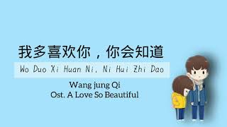 Wo Duo Xi Huan Ni Ni Hui Zhi Dao  Wang Jung Qi  Ost A Love So Beautiful  Lirikmu Ki [upl. by Glennon223]