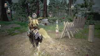 BLACK DESERT ONLINE  GAMEPLAY 493 [upl. by Aznola752]