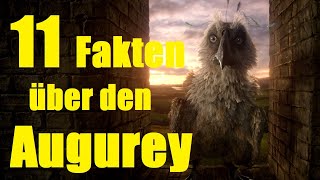 11 FAKTEN über den AUGUREY 🐦 [upl. by Aitrop]