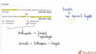 Maximum number of economically important species are in the class Or Which of the following clas [upl. by Alisia171]