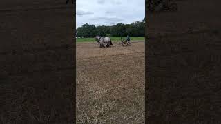 Hurstpierpoint ploughing match shorts [upl. by Niltyak951]