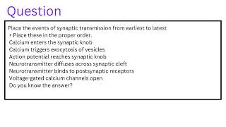 Place the events of synaptic transmission from earliest to latest  Place these in the proper order [upl. by Eadwine]