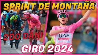 Resumen Etapa 8  Giro De Italia 2024  Pogacar sin RIVAL [upl. by Joni]