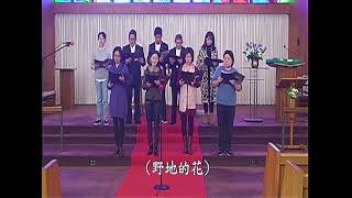 20240622 安息日崇拜 Sabbath Worship [upl. by Ysdnil]