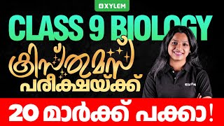 Class 9 Biology  ക്രിസ്മസ് പരീക്ഷയ്ക്കു 20 മാർക്ക് പക്കാ  Xylem Class 9 [upl. by Ainaznat287]