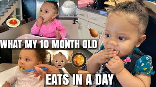 WHAT MY 10 MONTH OLD EATS IN A DAY [upl. by Atnauqal]