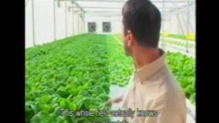 Lior Hessels Hydroponics Greenhouse [upl. by Amirak]