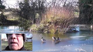 Bempton Bridlington Yorkshire Duck Pond Walk Around [upl. by Avra]