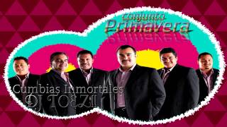 Conjunto Primavera Cumbias Inmortales DJ TOEZ [upl. by Sibylle]