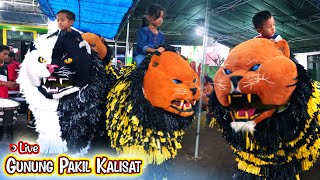 CAN MACANAN MAONG REMAJA LIVE GUNUNG PAKIL KALISAT  LION DANCE [upl. by Freda427]