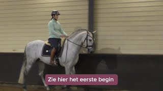 Help Mijn paard loopt áchter de loodlijn [upl. by Merill11]