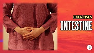 Intestine Exercise  Body amp Brain Exercises [upl. by Guimond]