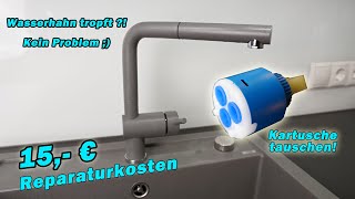 HILFE Wasserhahn TROPFT  So habe ich 200€ gespart   TUTORIAL  BLANCO  Küchenamatur [upl. by Aisat]