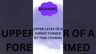 WORD MEANING CANOPY wordmeaning words wordsofwisdom wordoftheday shorts english [upl. by Millicent]