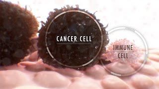 Immunotherapy for Cancer What It Is and Why It’s Used [upl. by Dominik597]