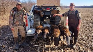 2023 Trapping Season BEAVER SMACKDOWN [upl. by Enilrahc]