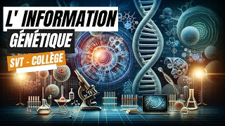 L information génétique  SVT Collège [upl. by Ennoitna415]