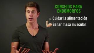 Cómo definirte si eres endomorfo [upl. by Annahoj]