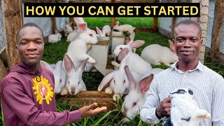 How To Start A Rabbit Farm  Everything About Rabbit Farming [upl. by Eyllek]