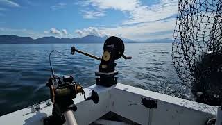 Coho fishing Ketchikan Alaska [upl. by Aileek]