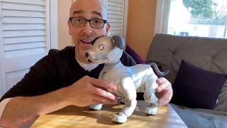 Sony Aibo ERS1000 Review It’s the Ultimate Robot Dog [upl. by Franz655]