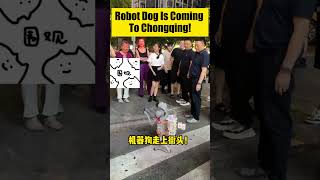 A robot dog has appeared on the streets of Chongqing Come and give it a pet Tech Innovation dog [upl. by Yvonner578]