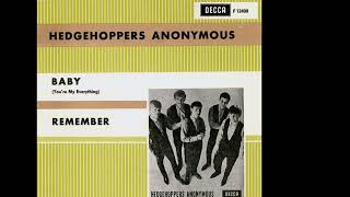 The Hedgehoppers Anonymous  Remember 1966 [upl. by Hanleigh]