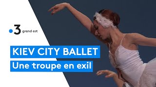 Guerre en Ukraine  une troupe de ballet en exil fait étape à Mulhouse [upl. by Eynahpets]