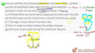 Indicate whether the following statements are true of false  a Both auricles of amphibian hea [upl. by Gerianna109]