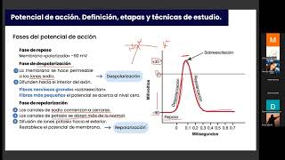 FISIOLOGIA CLUB  Generacion y conduccion de potencial de accion [upl. by Hurwitz433]